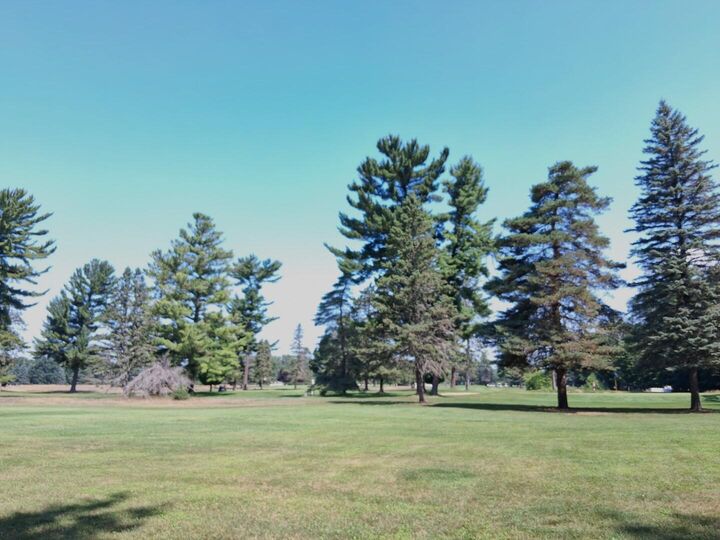 Property Photo: Lot 21 W Nestel Road MI 48651