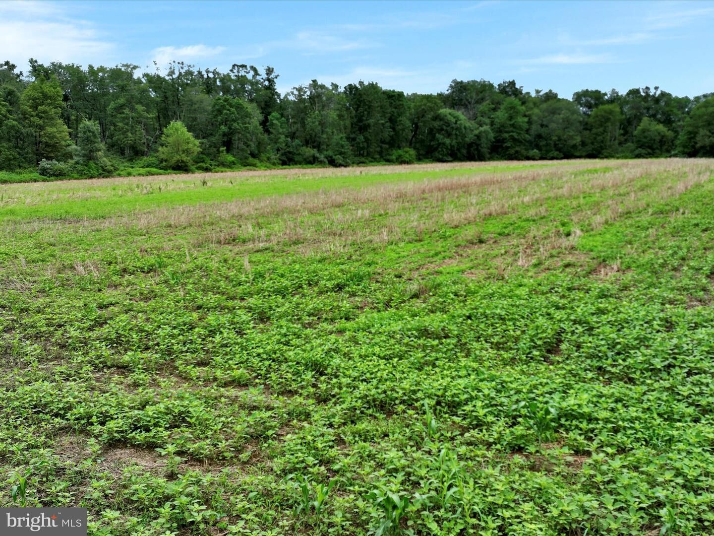 Property Photo:  Moyers Station Road  PA 17972 