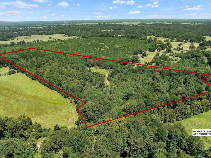 Property Photo: Tbd S Fm 225 TX 75667