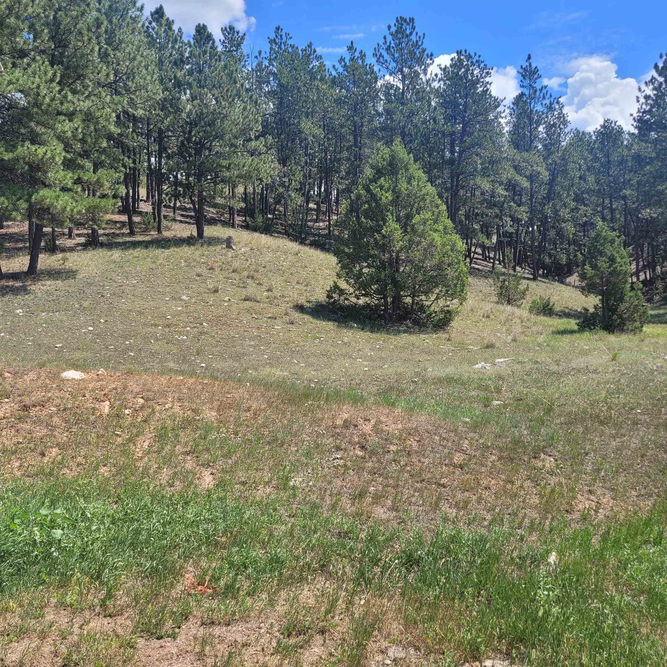 Property Photo: 10251 Valley Road SD 57730