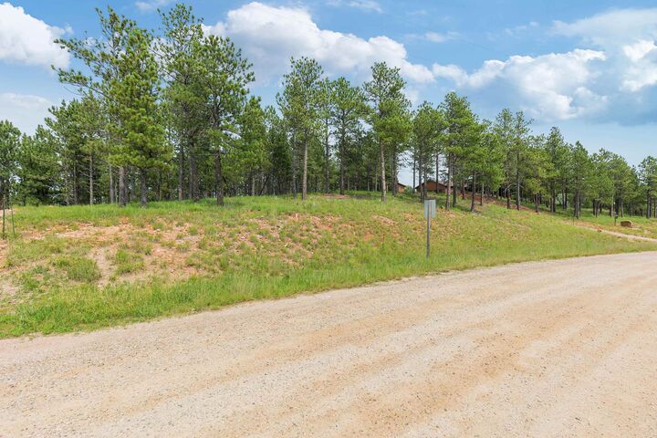 Tbd Borglum Road  Keystone SD 57751 photo