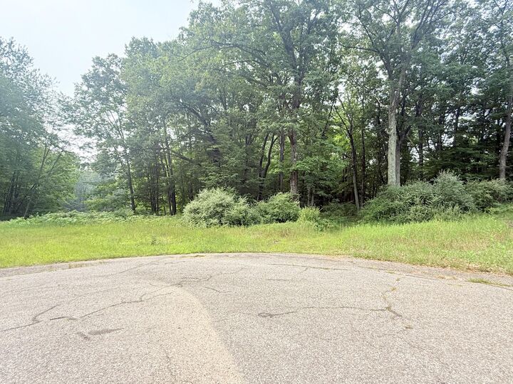 Property Photo:  9137 Briarstone Drive  MI 49346 
