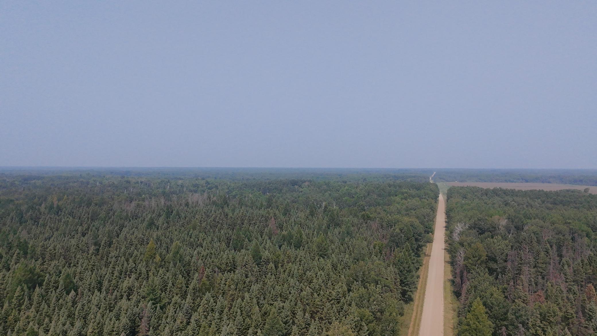 Property Photo:  Tbd 120 Acres Sunflower Road NE  MN 56650 