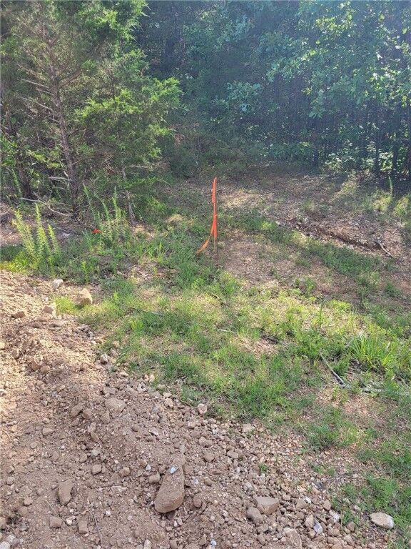 Property Photo: 483 County Road 231 AR 72631