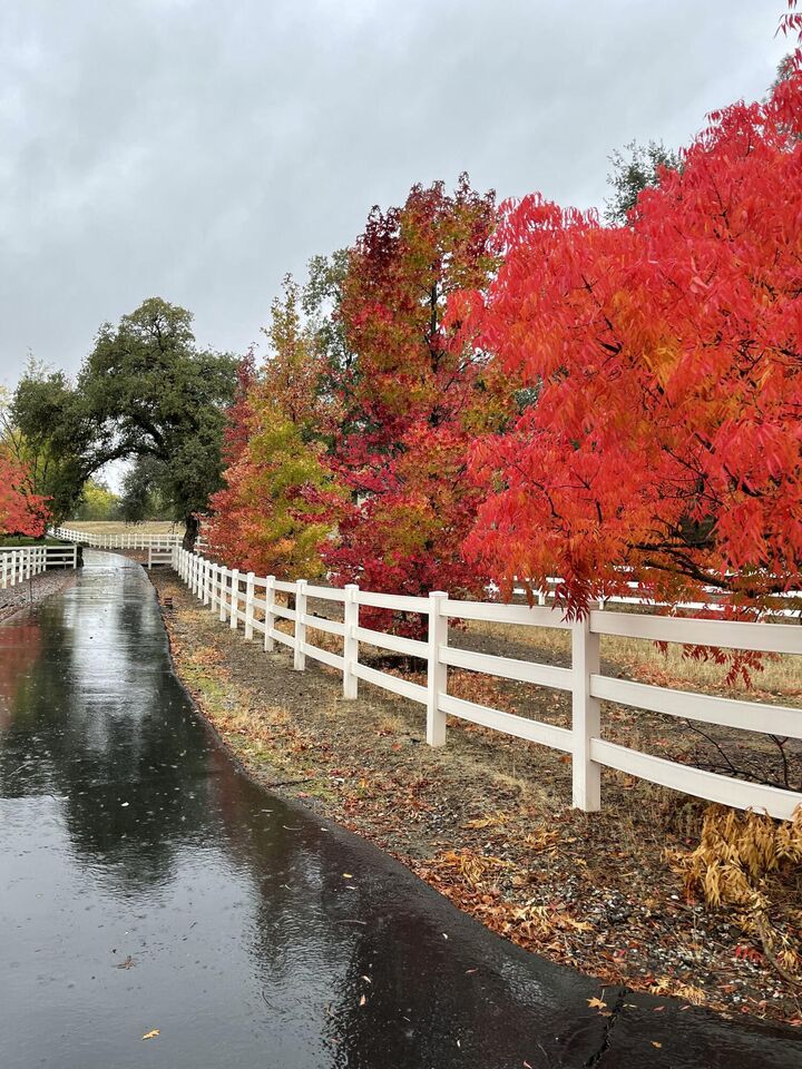 Property Photo: 10740 Swede Creek Road CA 96073