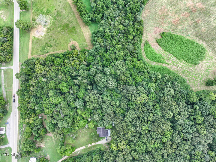 Property Photo:  4.33 Ac Baileyton Road  TN 37745 