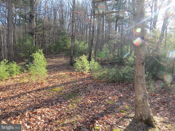 Property Photo:  10 Cedarwood Drive Road  WV 26812 