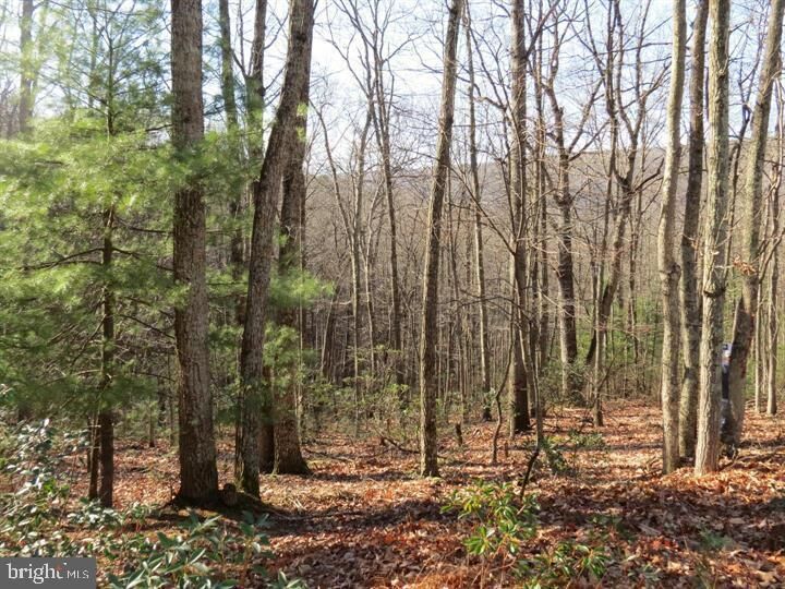 Property Photo: 12 & 14A Cedcarwood WV 26812