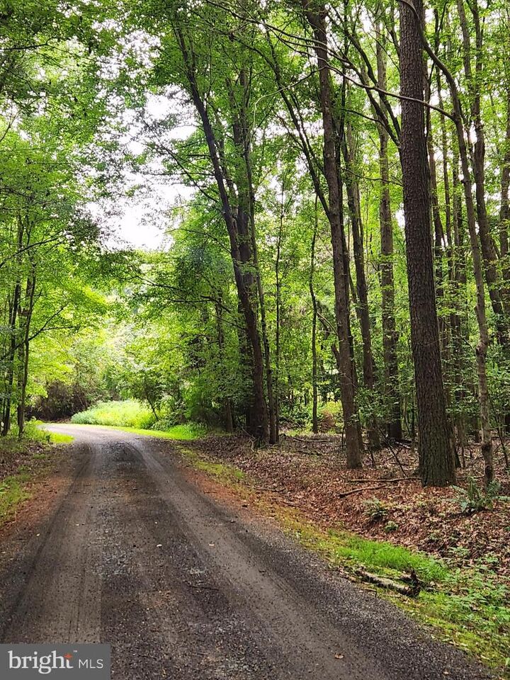 Property Photo: 38335 Collins Road MD 20609