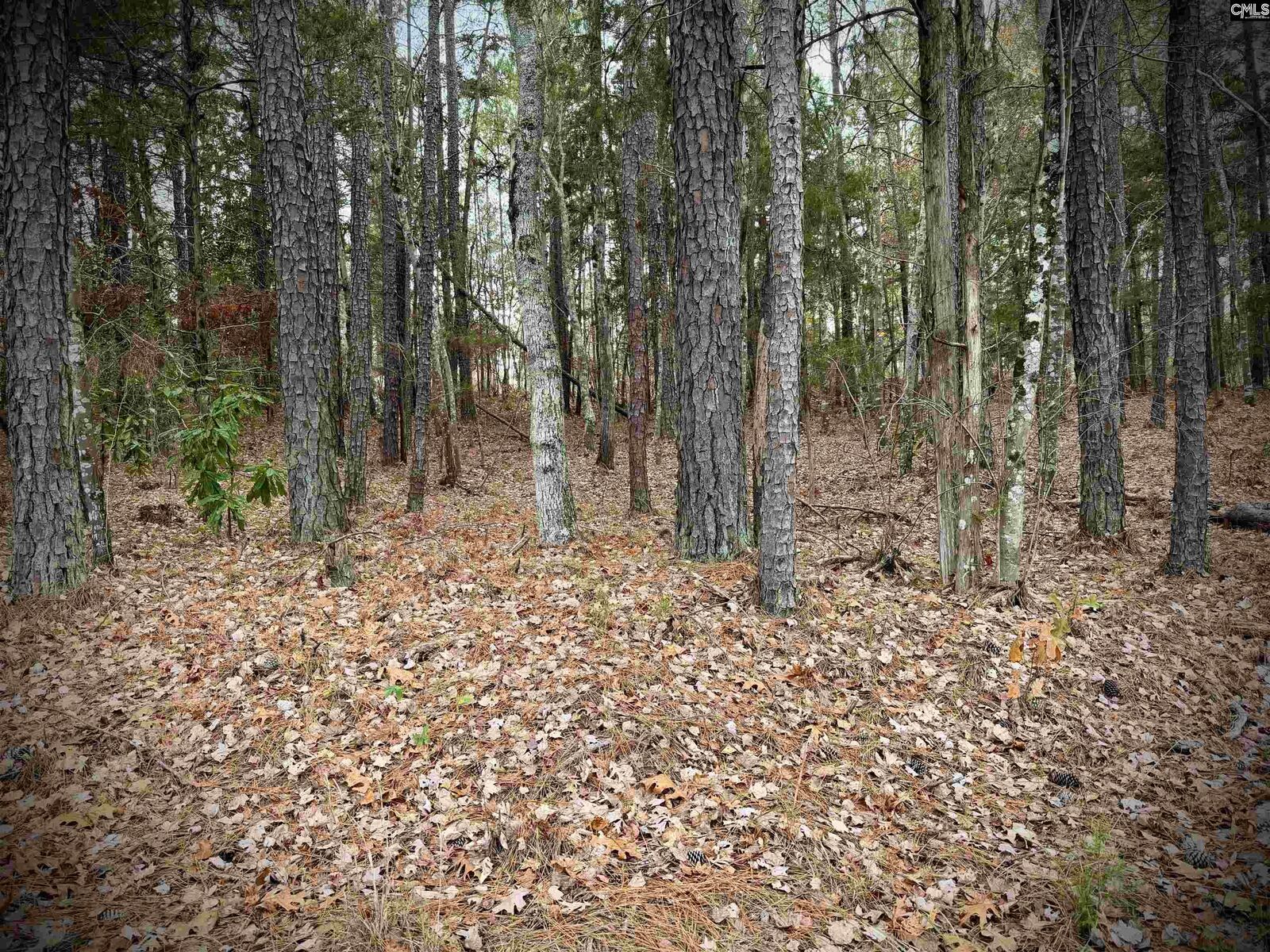 Property Photo: 215 N &Amp Amber SC 29015