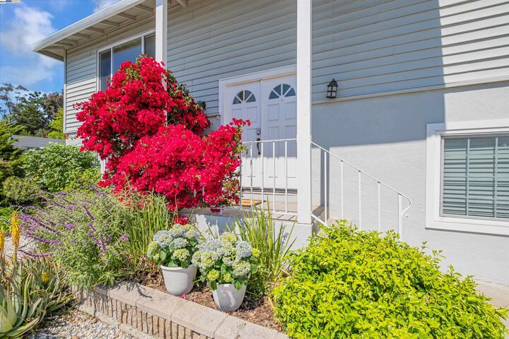 Property Photo:  431 Monaco Ave  CA 94587 