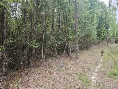 Property Photo:  2 Acres Tyner Lane  FL 32435 