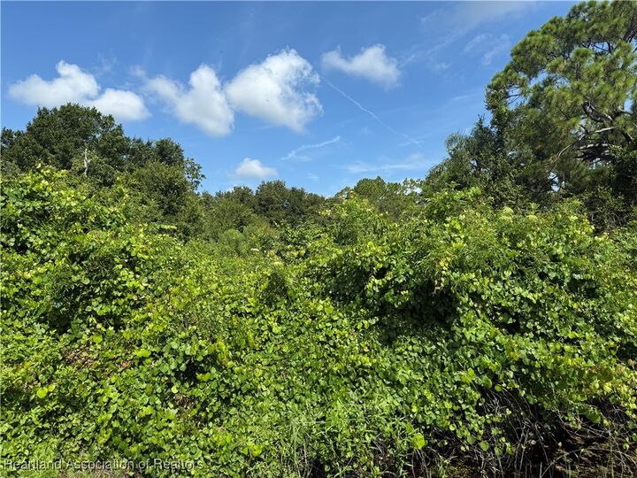 Property Photo:  1025 Lake Carrie Drive  FL 33852 
