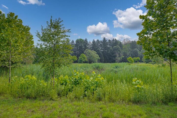 Property Photo: 19839 Witt Road MI 49128