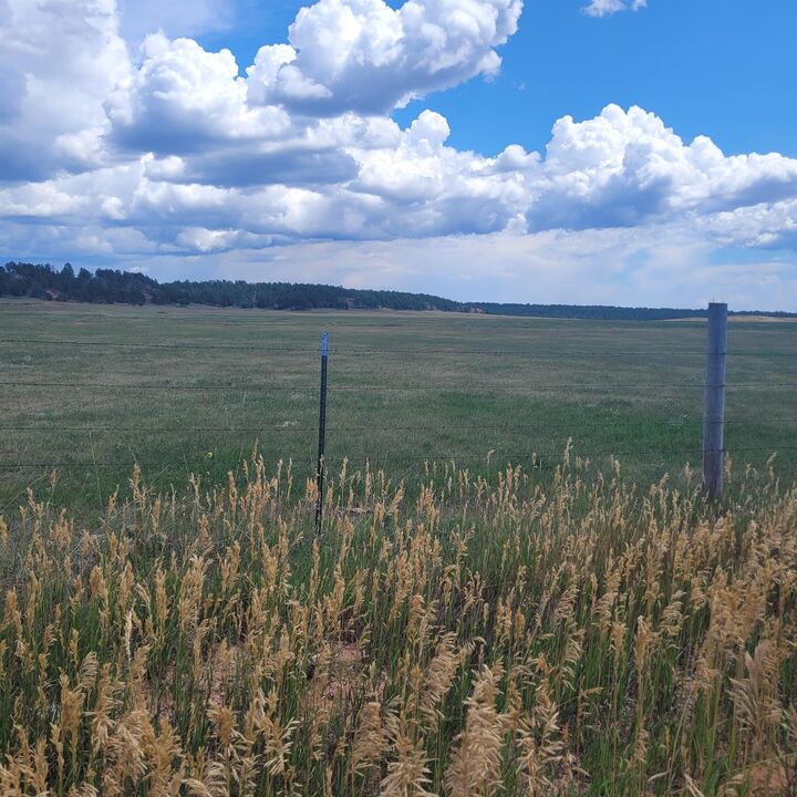 Property Photo: 10239 Valley Road SD 57730