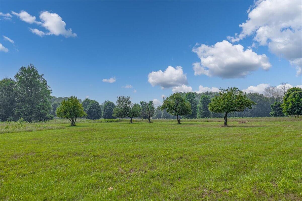 Property Photo:  19839 Witt Road  MI 49128 