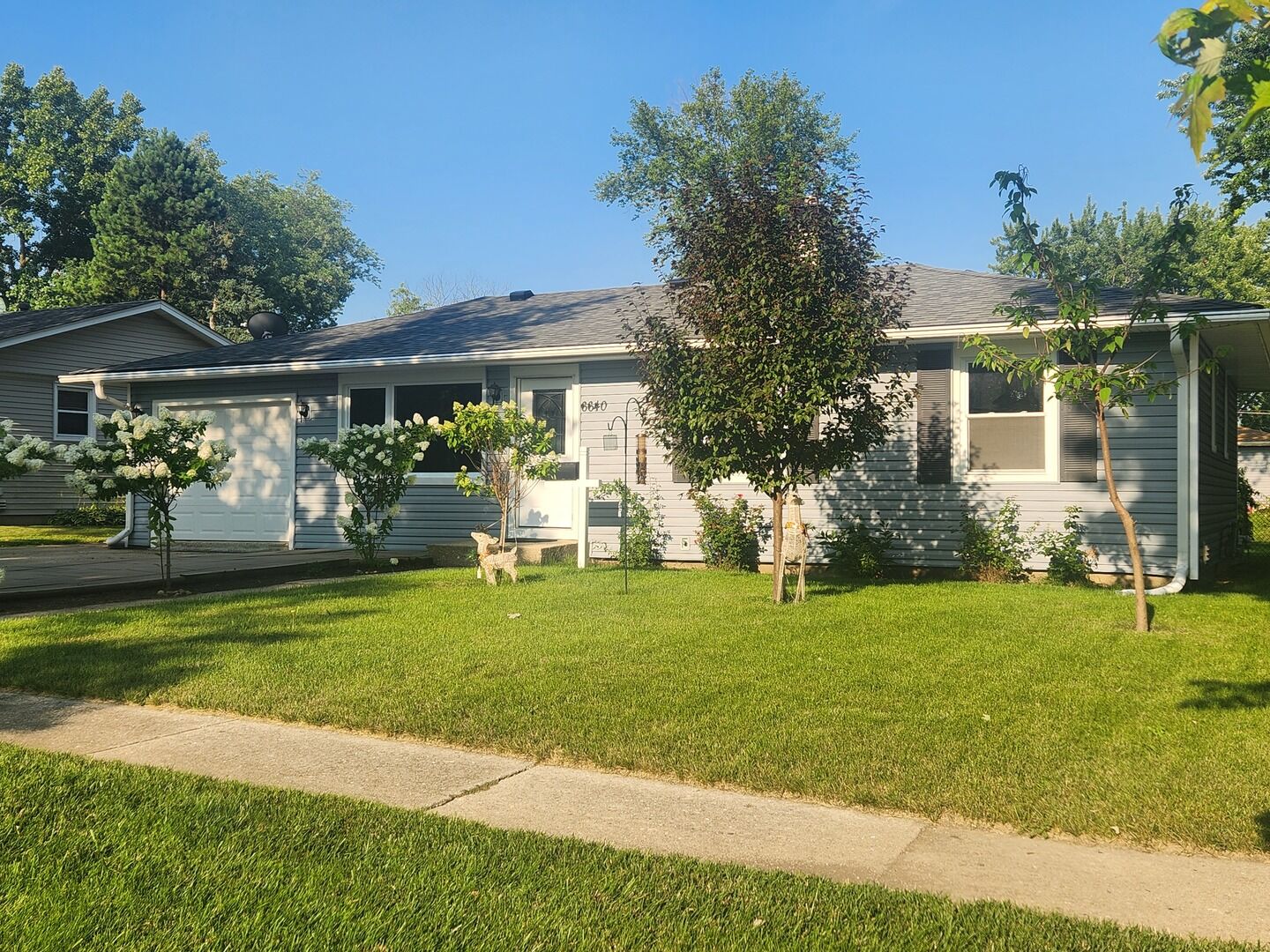 Property Photo:  6640 Peach Tree Street  IL 60133 