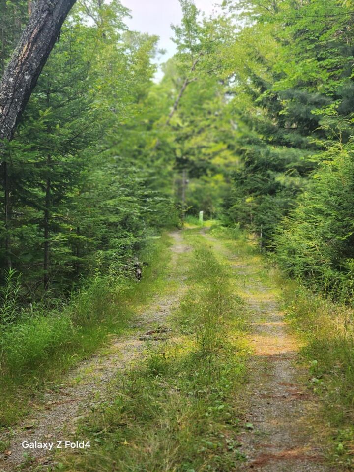 Property Photo: Lot 7-46-9 Clewley Road ME 04401