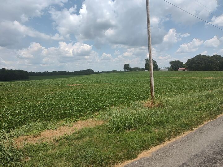 Property Photo:  1 Benton  TN 37032 