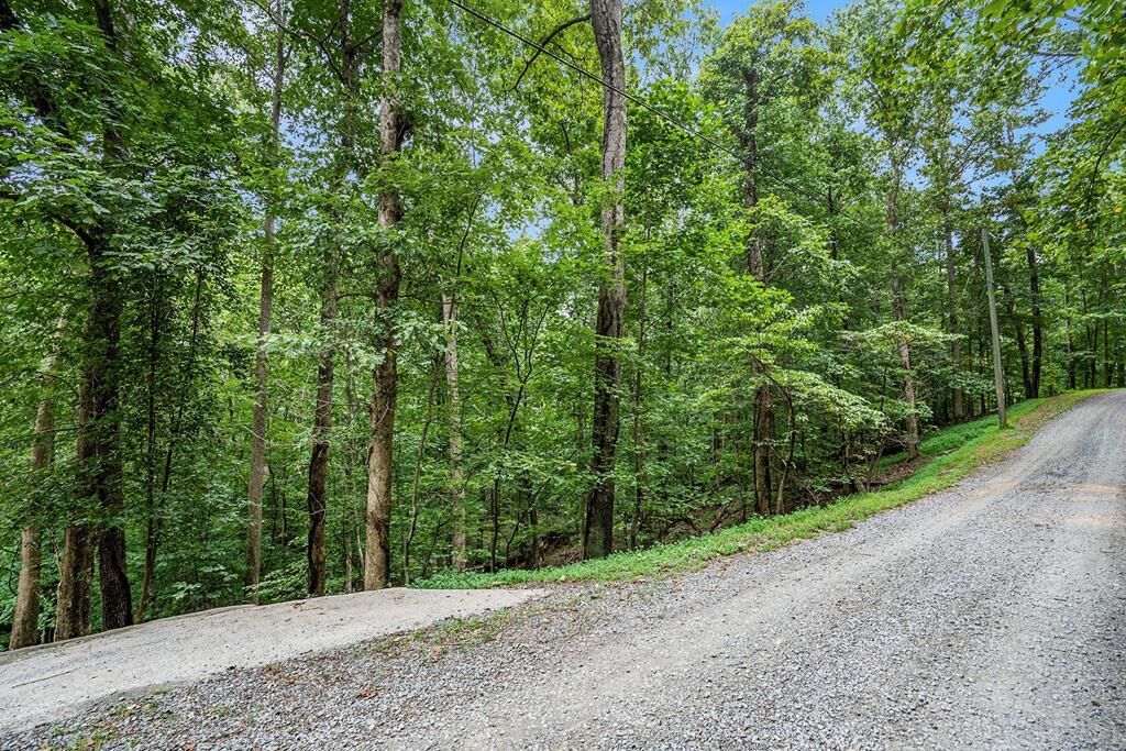 Property Photo:  Lot 72 Huron Circle  GA 30540 