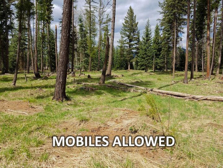 Property Photo:  137 Fallen Bear Lane  MT 59923 