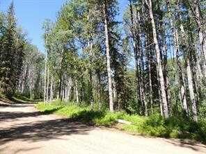 Property Photo: Lot #11 Wapiti River SW-21-69-10-W6 AB T0H 1J0