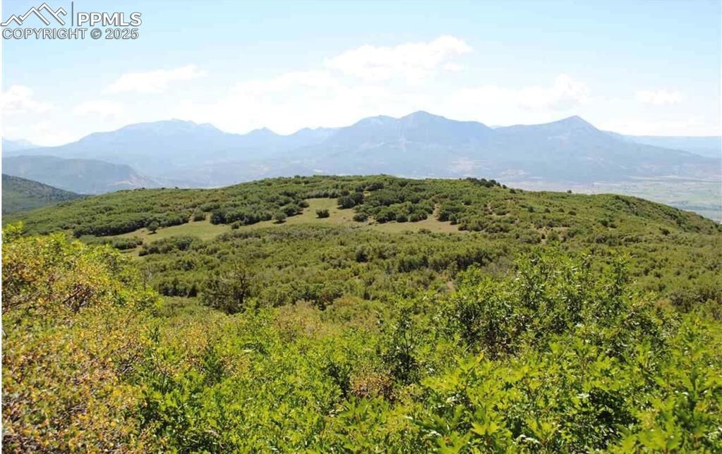 Property Photo:  18965 Johnson Road  CO 81428 