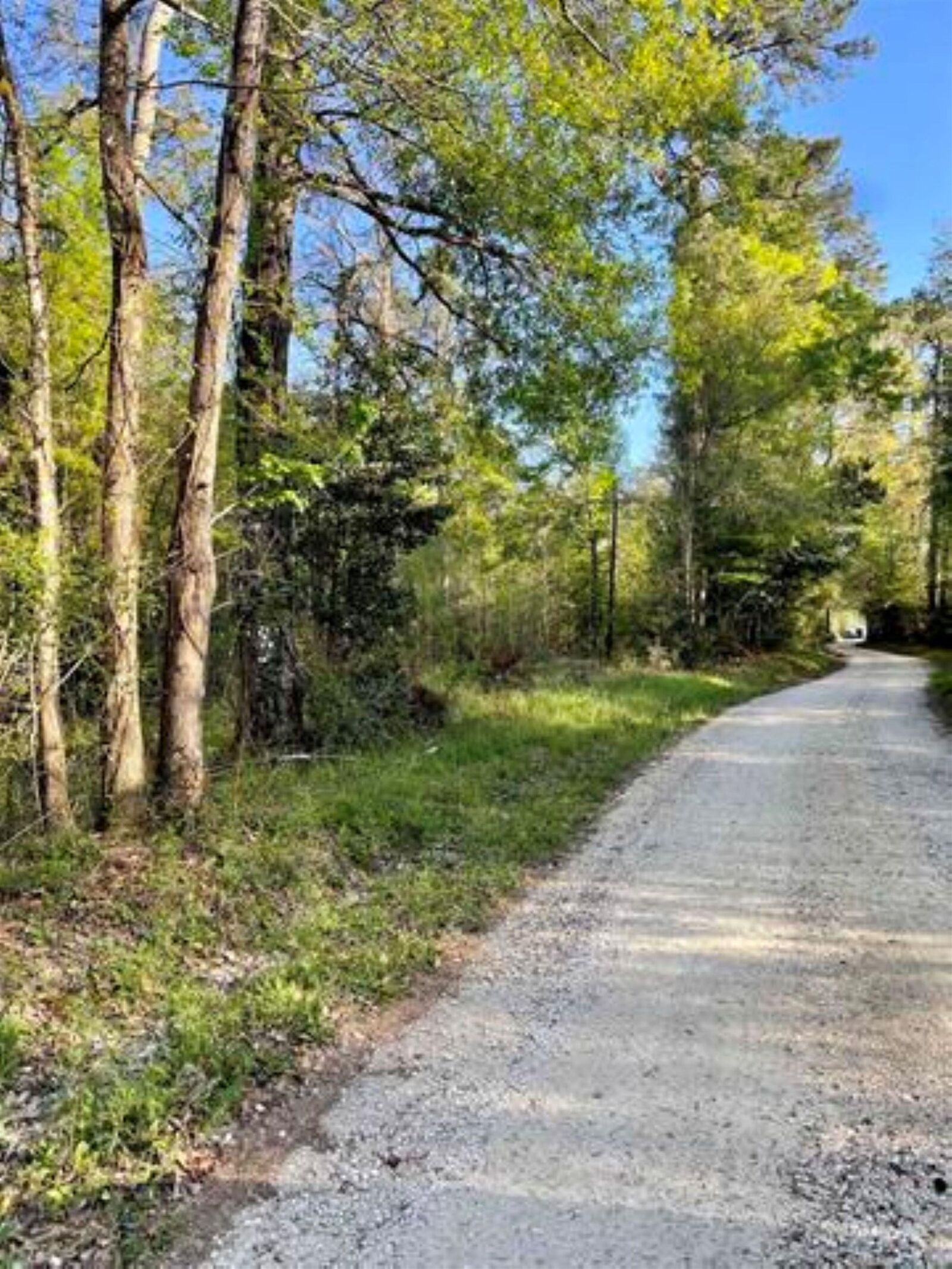 Property Photo: Tbd County Road 4205 TX 77632