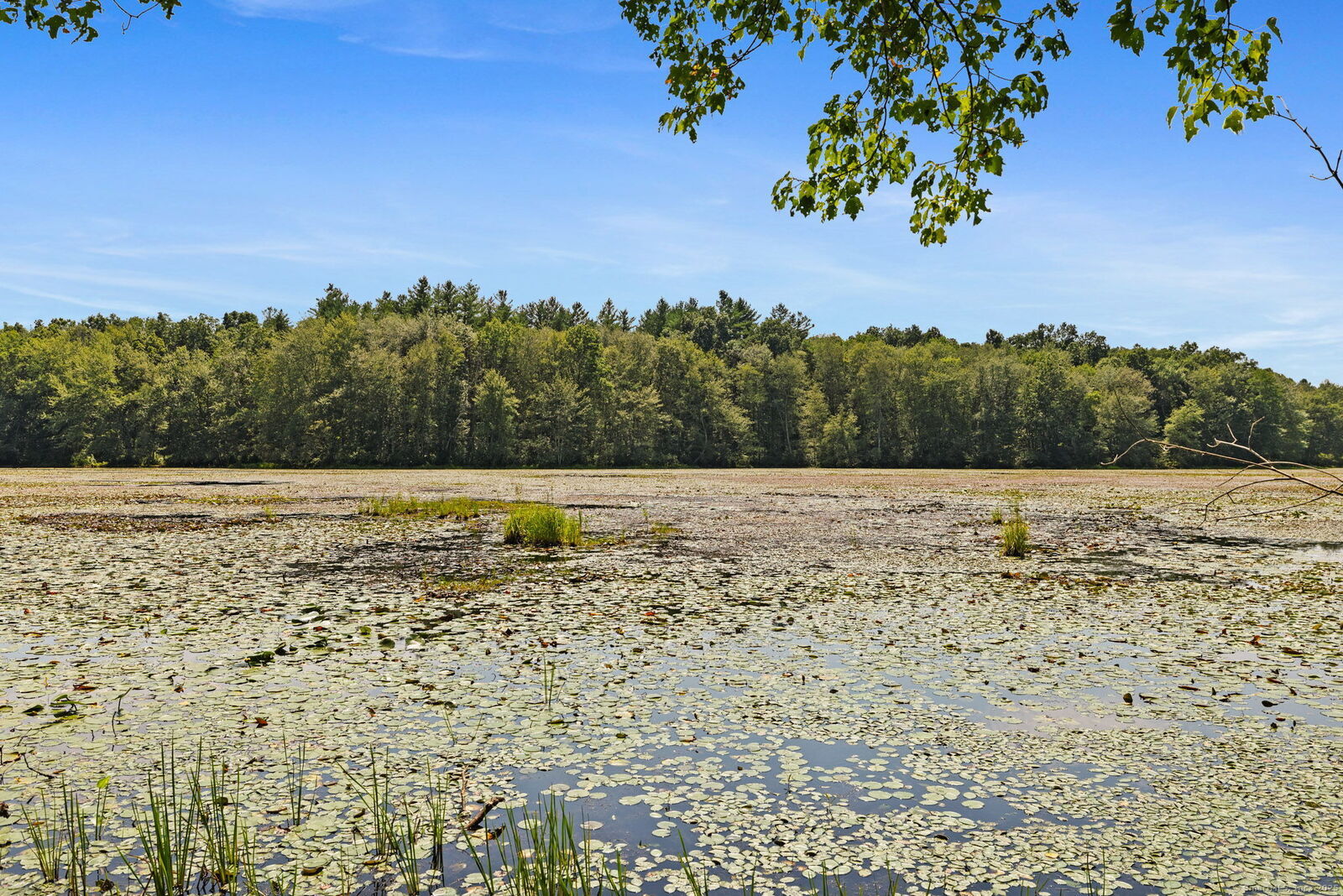 Property Photo:  4 Paradise Drive  CT 06234 