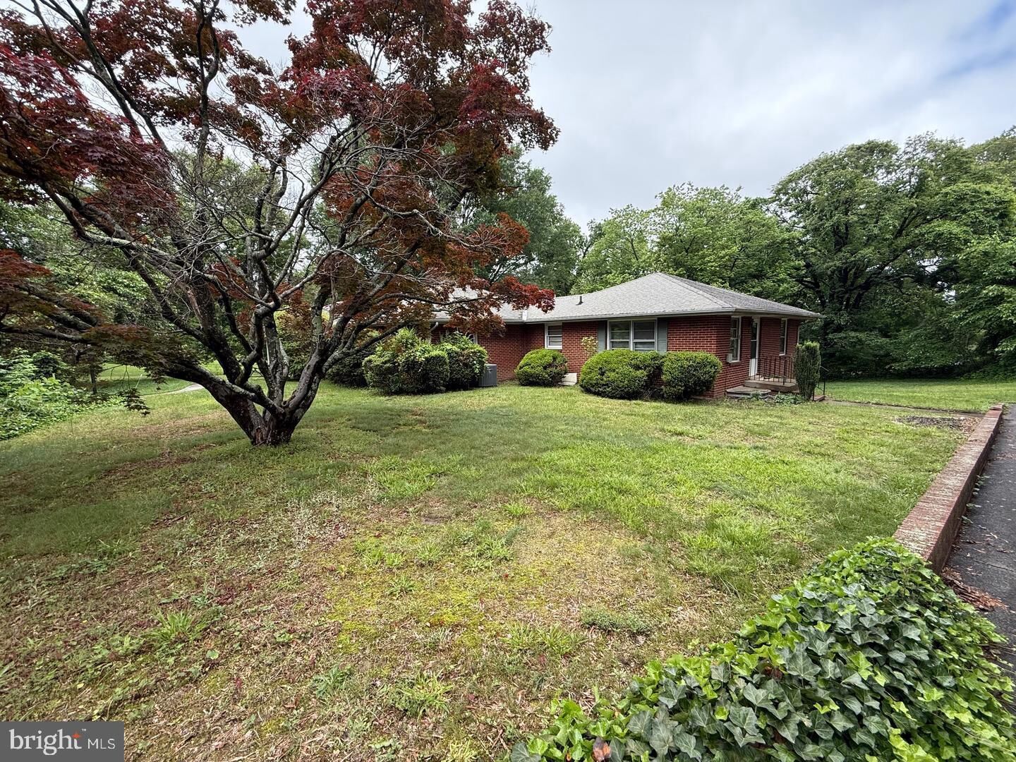 Property Photo:  117 Courtland Drive 2  VA 22401 