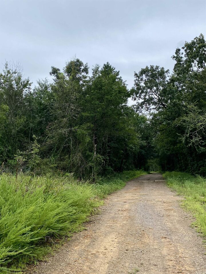 Property Photo: Tbd Wildwood Trail AR 72949