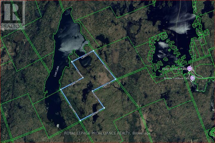 Lot 26 Con 4  Havelock-Belmont-Methuen (Belmont-Methuen) ON K0L 1Z0 photo