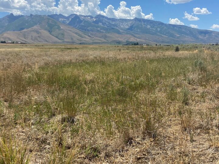 Property Photo: 80.21 Acres A NV 89828