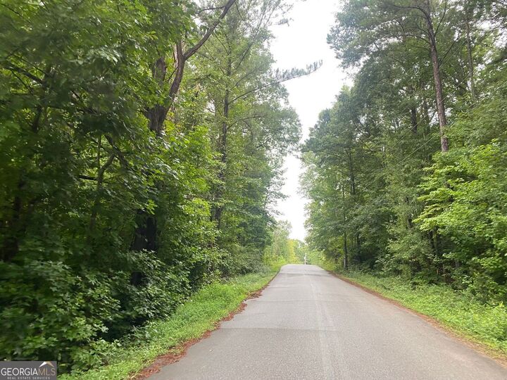 Property Photo:  0 Holtzclaw Road  GA 30220 