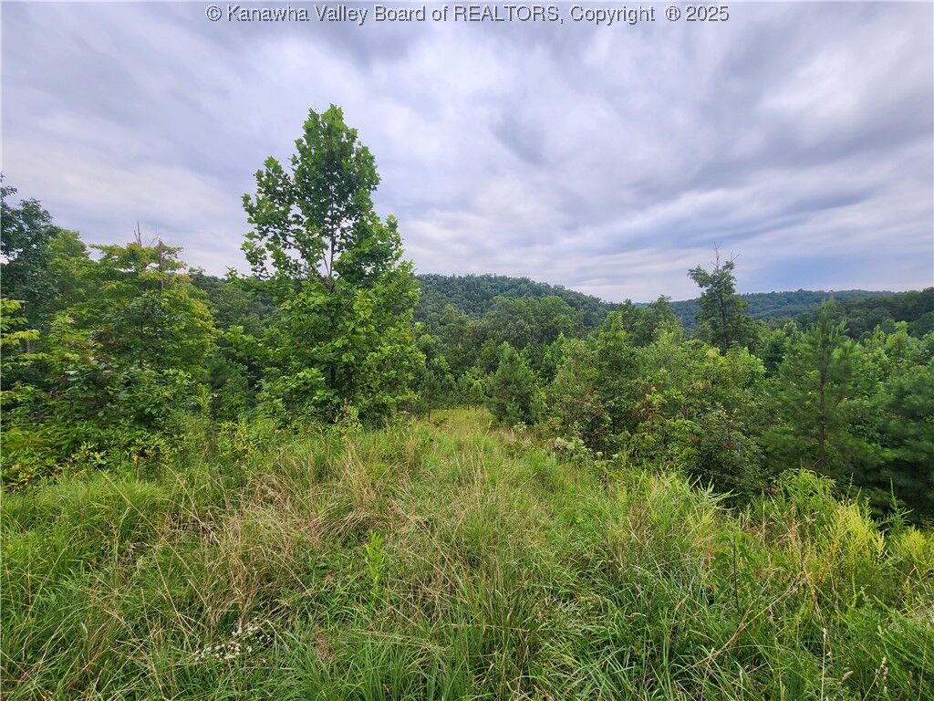 Property Photo: 00 Mountain Highland Ridge WV 25003