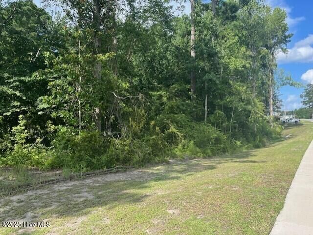 Property Photo:  0 Commerce Road  NC 28546 