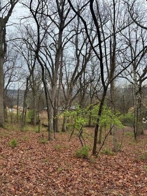 Property Photo:  84 S Kestrel Drive  AR 72703 