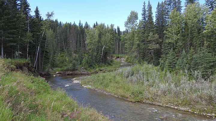 Photo de la propriété:  272215 Highway 549  W 200  AB T0L 1K0 