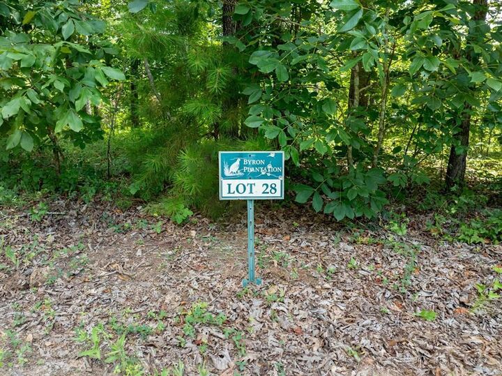 Property Photo:  124 Byron Ridge Drive  GA 31721 