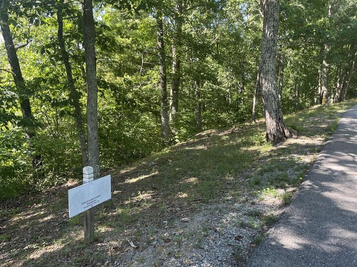Lot 20 Wildwood Rdg  Caldwell WV 24925 photo