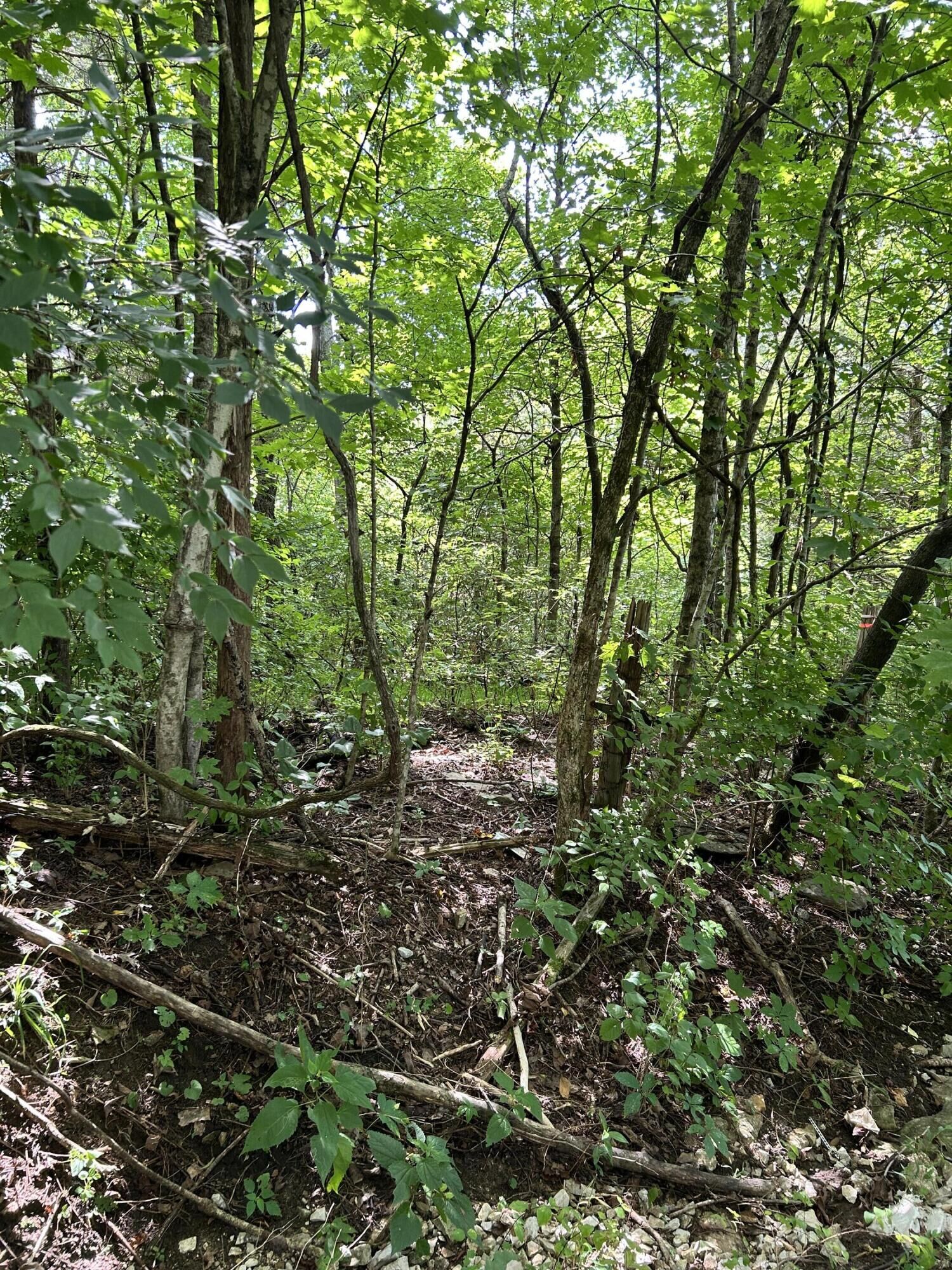 Property Photo:  2184 Shadrick Ferry Road  KY 40601 