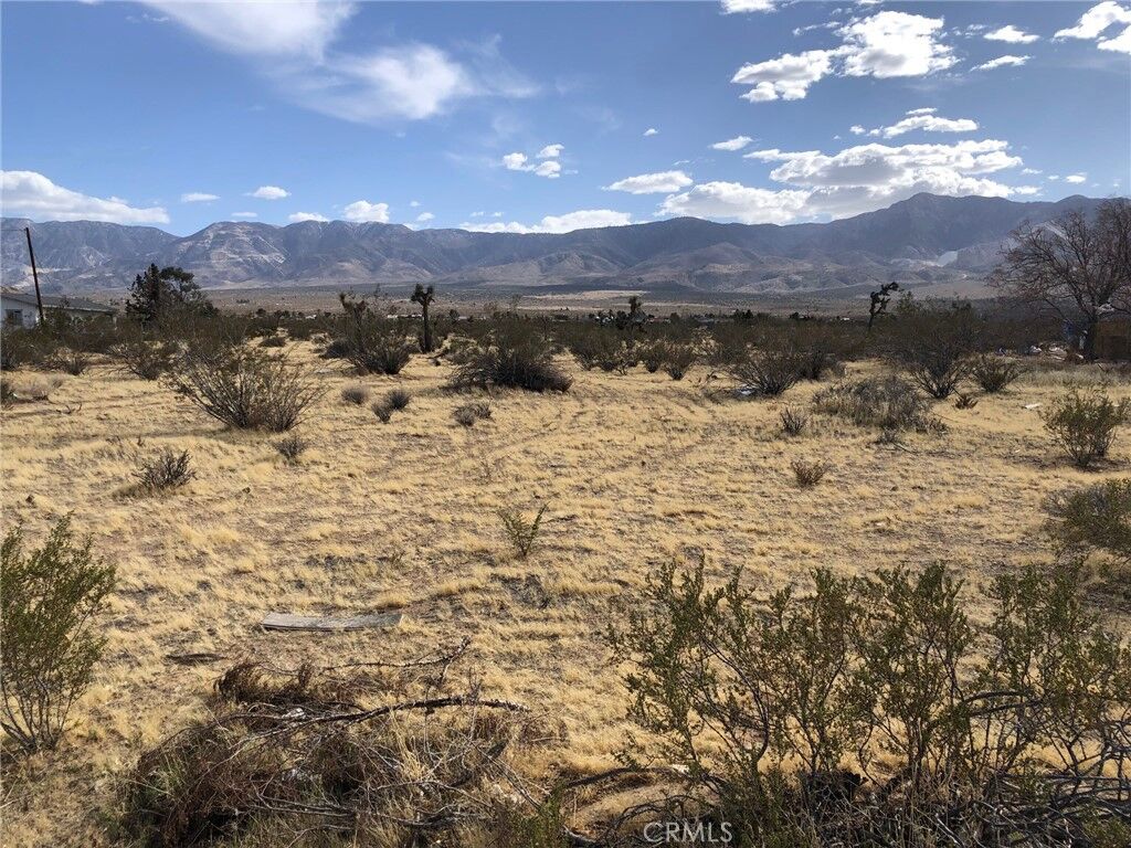Property Photo: 31357 Pawnee Street CA 92356