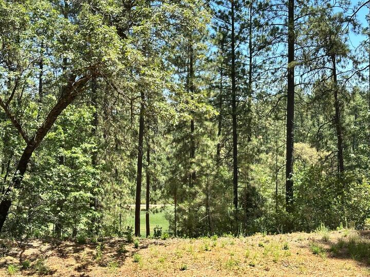 Property Photo: 1807 E Summit View Drive CA 95722