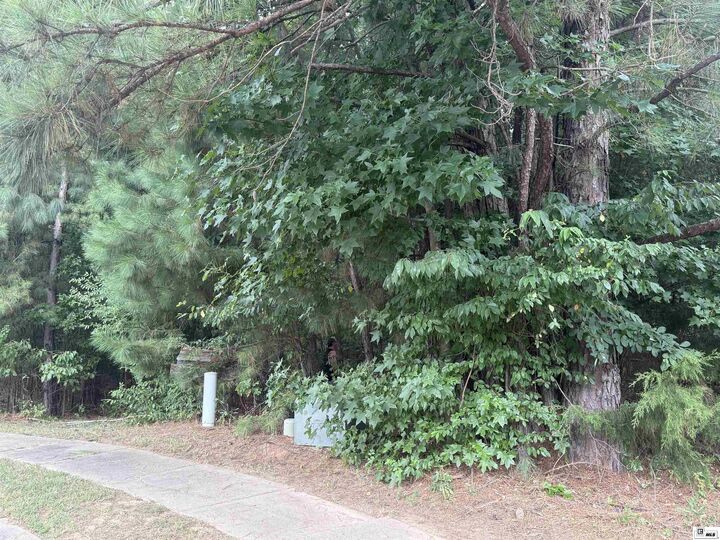 Property Photo:  Lot 5 Llangeler Drive  LA 71270 