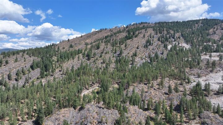 Property Photo: Nhn Dragonfly Lane MT 59859