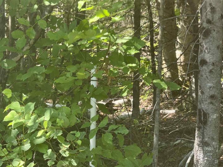 Property Photo:  1520 Trails End Rd  MI 49701 