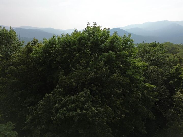 Property Photo:  00 Old Orchard Way  VT 05674 