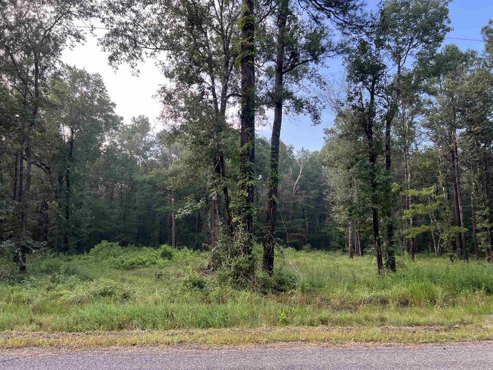 Property Photo: 1715 Bobcat Circle TX 77630