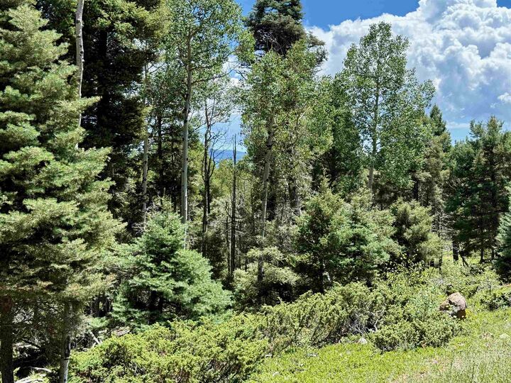 Property Photo: Lot 100 Zia Road NM 87710