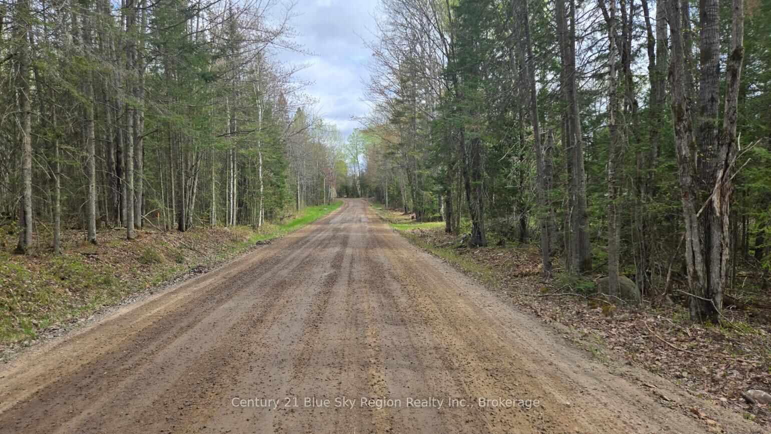 Photo de la propriété:  2438 Village Road  ON P0H 1Z0 
